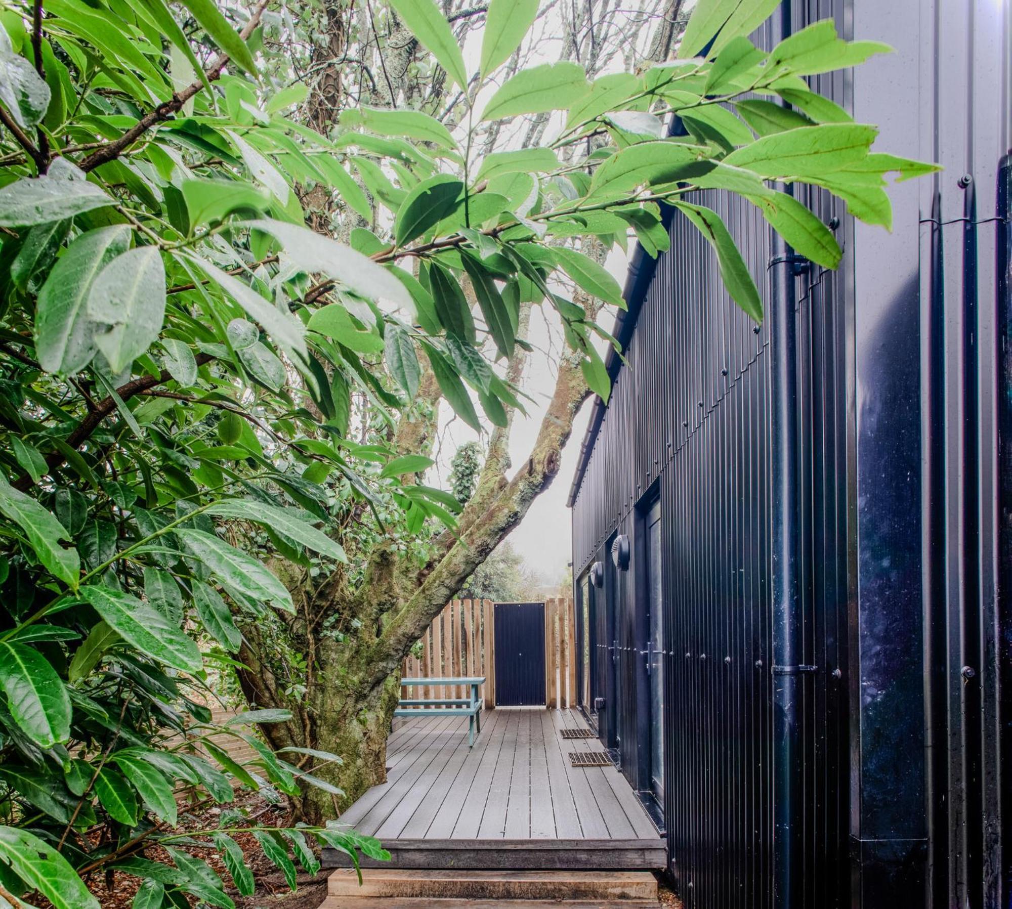 Lowen Tree House Truro Exterior foto